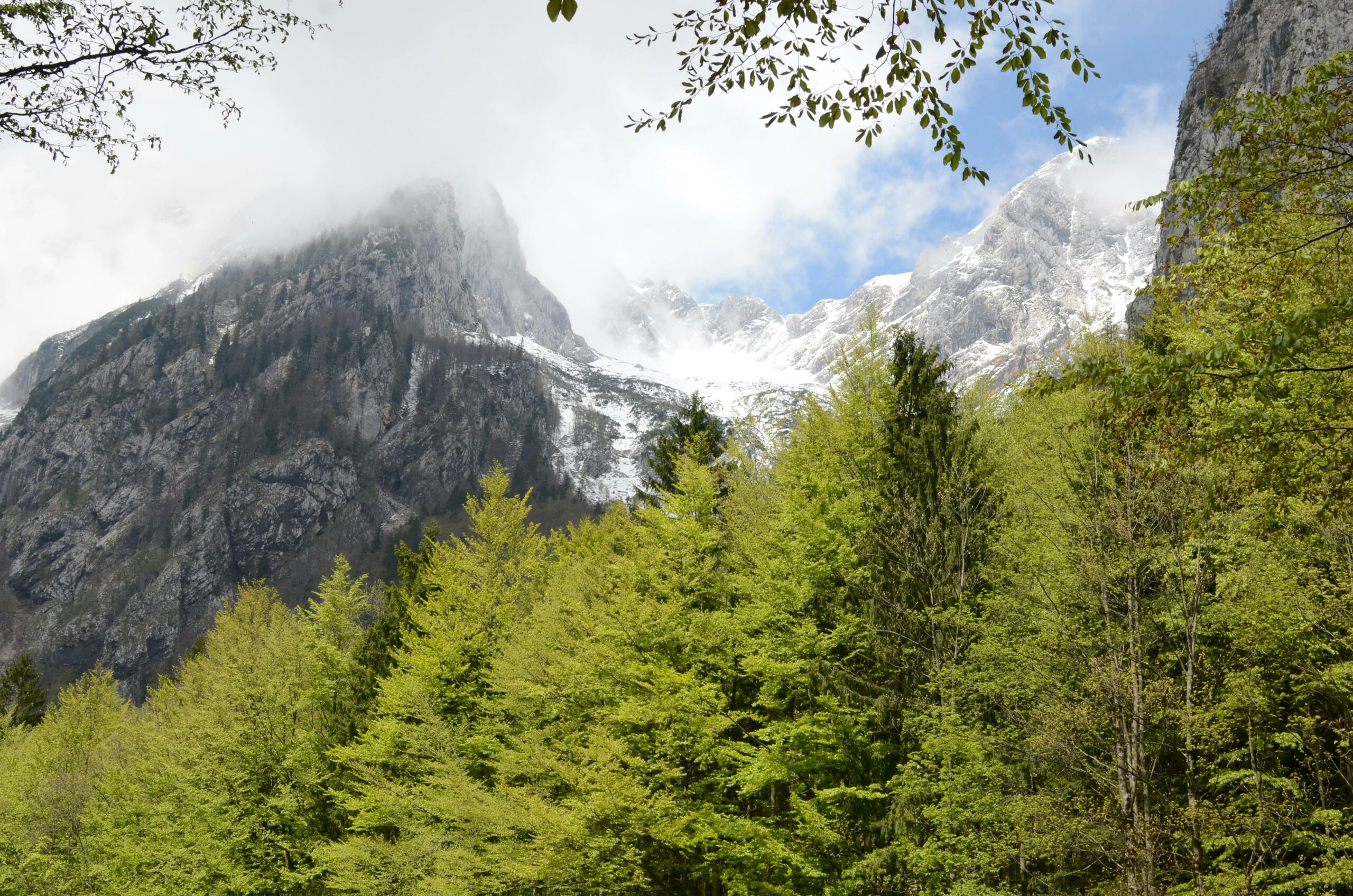 Préserver la biodiversité